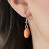 Load image into Gallery viewer, Natural Novice - Orange
